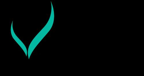 Raha Charity Foundation